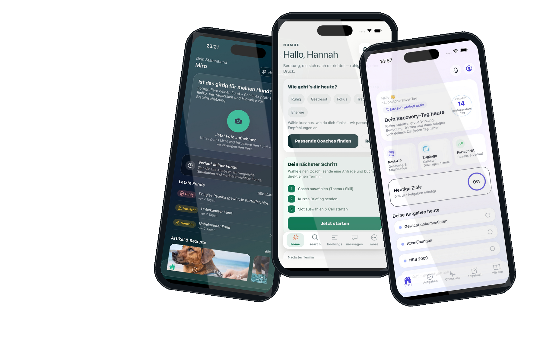 App-Entwickler Zürich – App Mockup